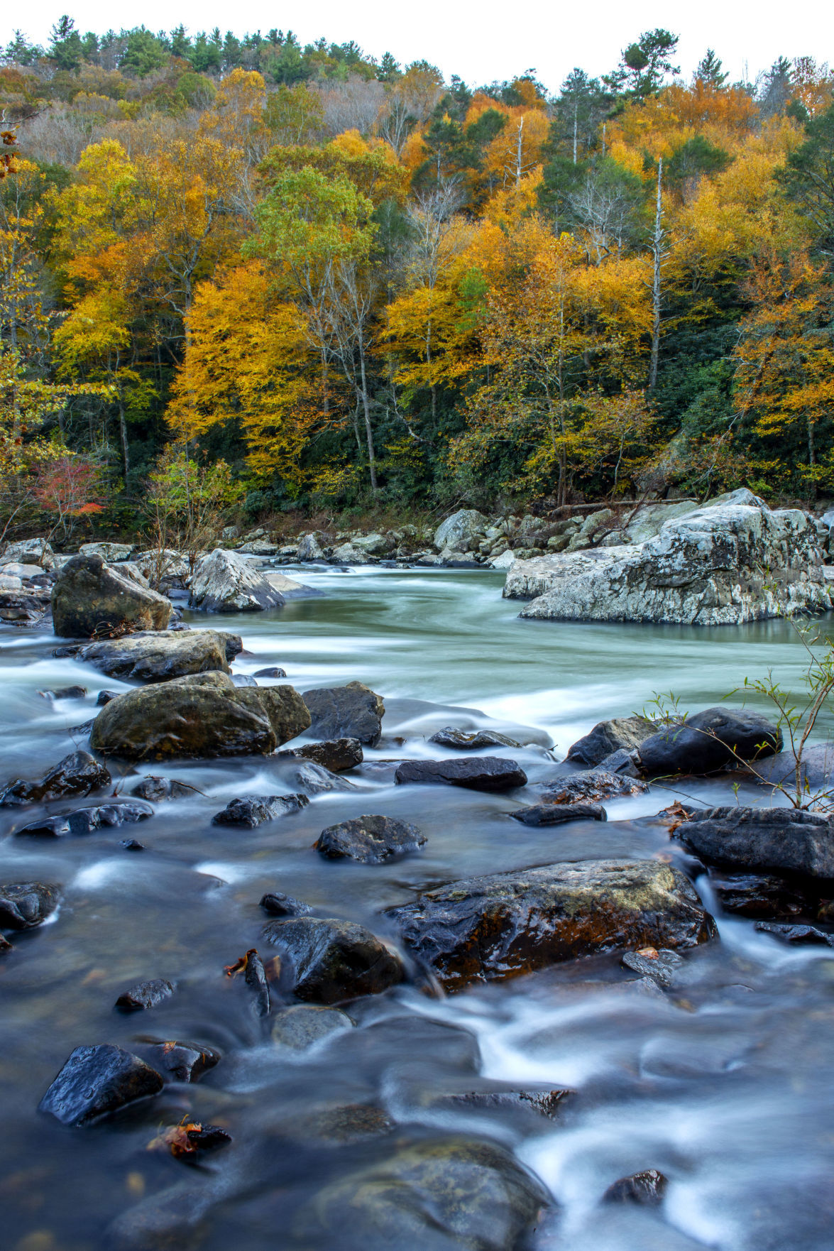 Rivers & Waterways Category Honorable Mention #2: